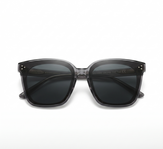 LORENZO Paris VS9001-C2